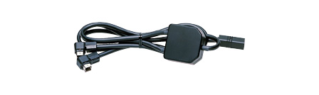 CCA-519