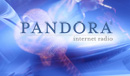 Contrôle PANDORA® 