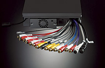 Sortie RCA 6 Can pour expansion de système et versatibilitée