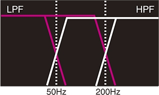 VX404