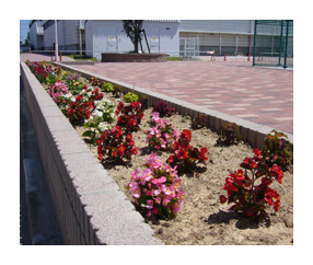 工場棟正面の花壇