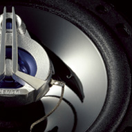 Metallized Mica-Injected Polypropylene Cone