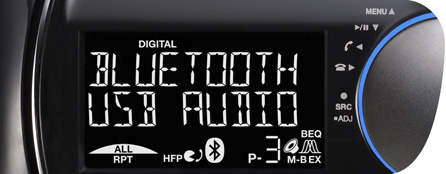 13-segment 10 x 2-line white LCD display