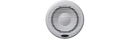 CMSW10.1