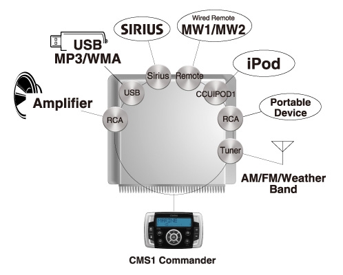 CMS1_01