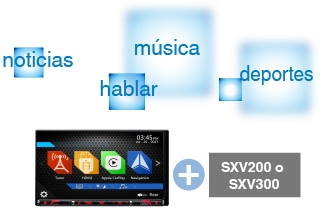 VX807_profile16